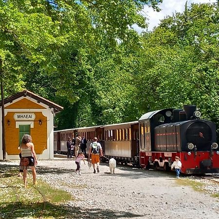 Milies Historic Chalet Pelion Miléai Dış mekan fotoğraf