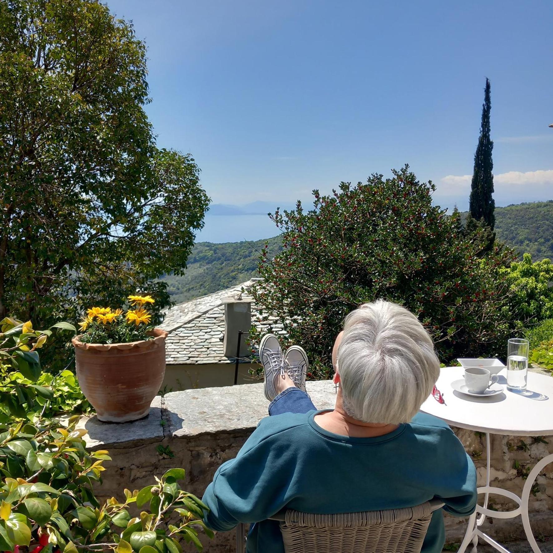 Milies Historic Chalet Pelion Miléai Dış mekan fotoğraf