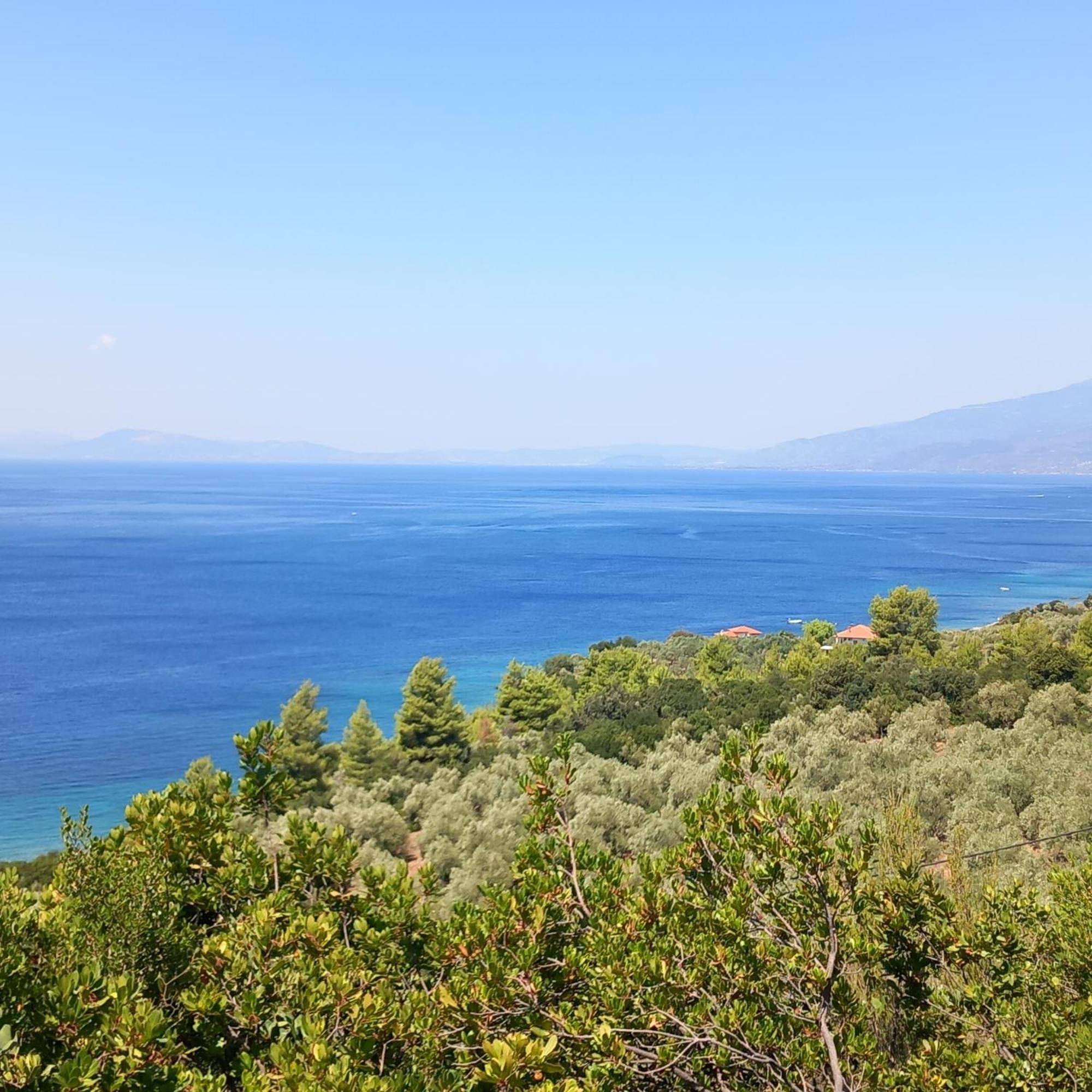 Milies Historic Chalet Pelion Miléai Dış mekan fotoğraf