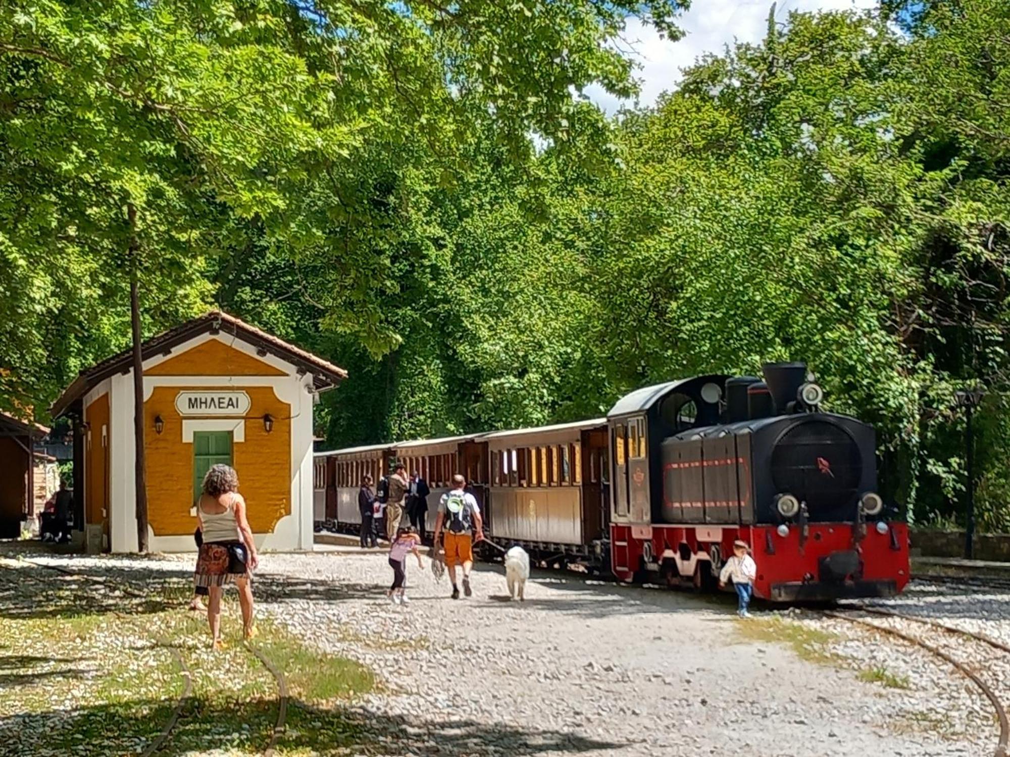 Milies Historic Chalet Pelion Miléai Dış mekan fotoğraf