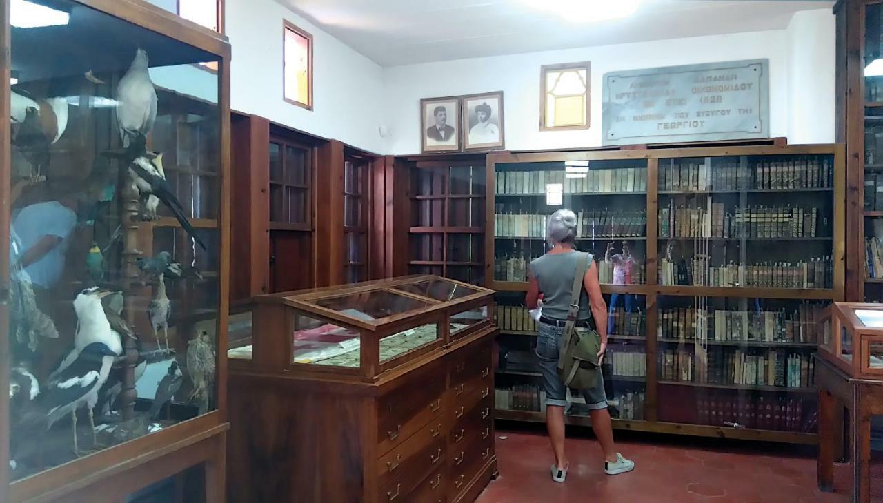 Milies Historic Chalet Pelion Miléai Dış mekan fotoğraf