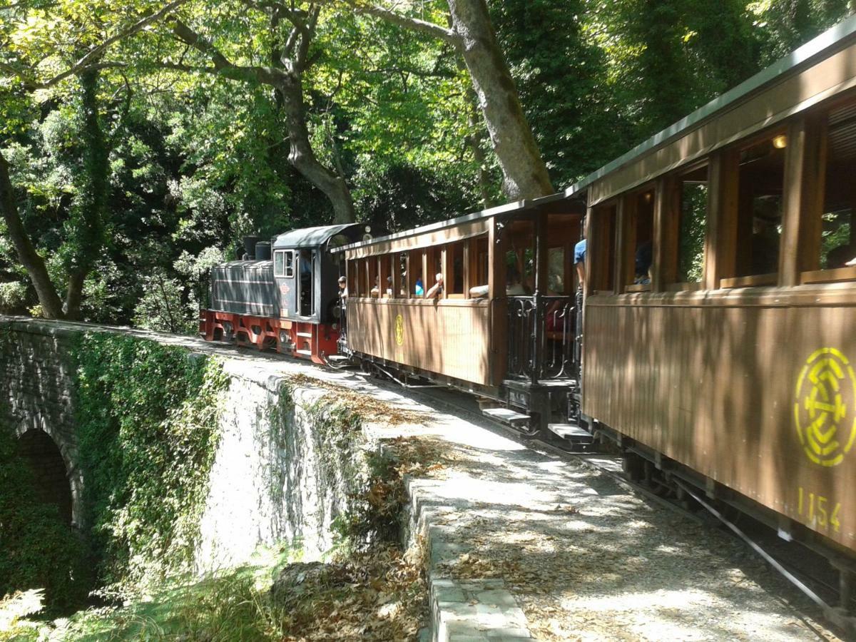 Milies Historic Chalet Pelion Miléai Dış mekan fotoğraf
