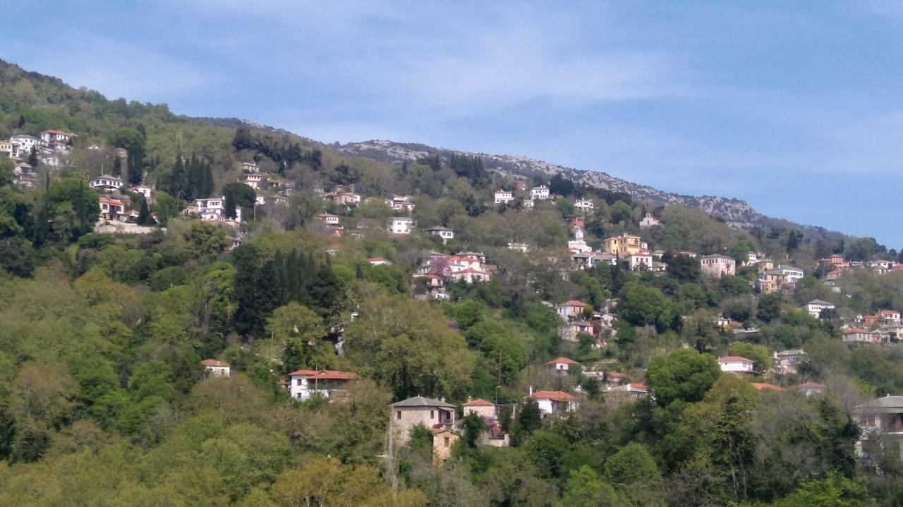 Milies Historic Chalet Pelion Miléai Dış mekan fotoğraf