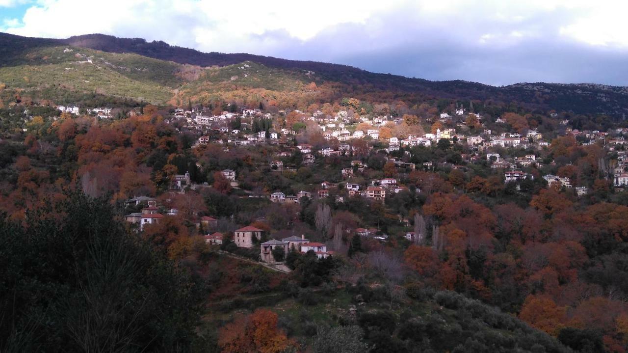 Milies Historic Chalet Pelion Miléai Dış mekan fotoğraf